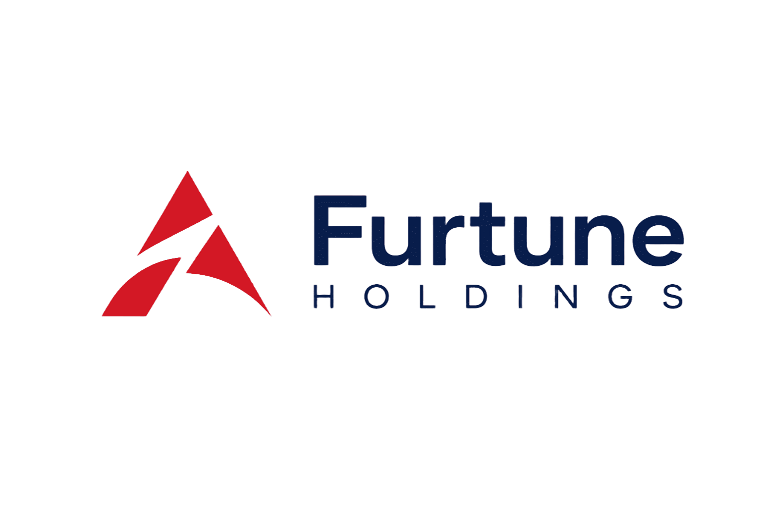Furtune Holdings